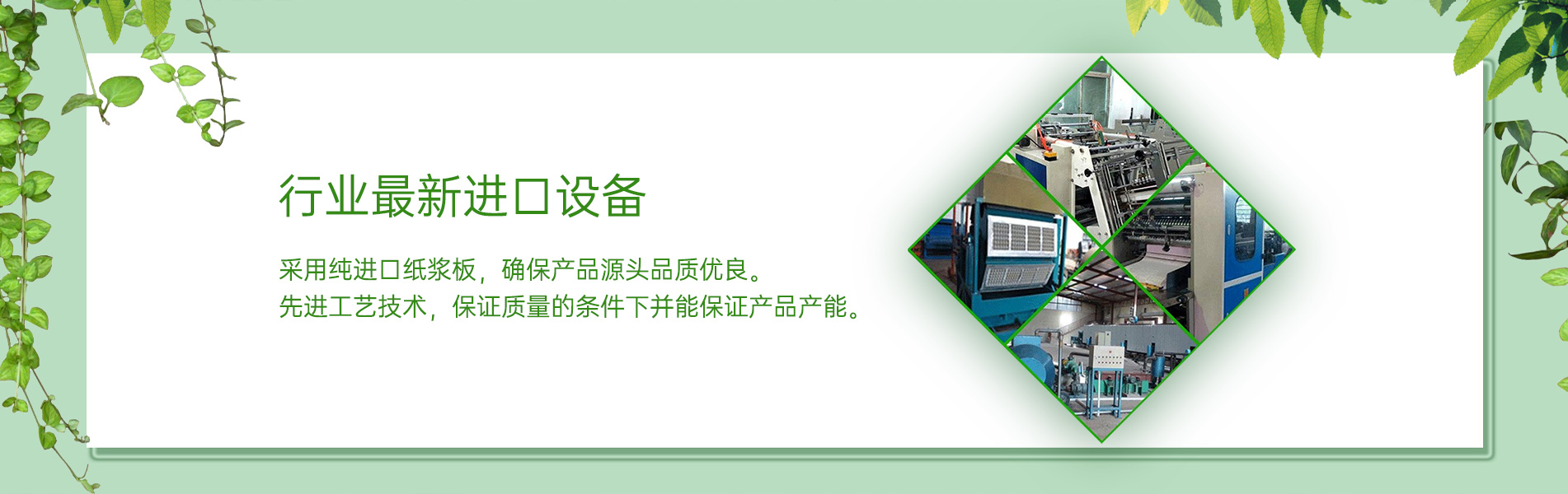 纸浆模塑小蝌蚪网站在线观看